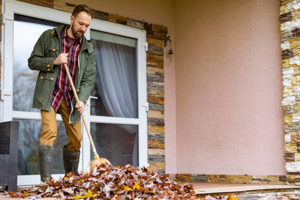 Yard Cleanup Services in Barry, IL